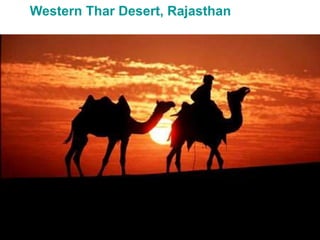 Western Thar Desert, Rajasthan
 
