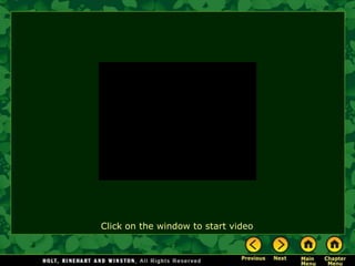 Click on the window to start video
 