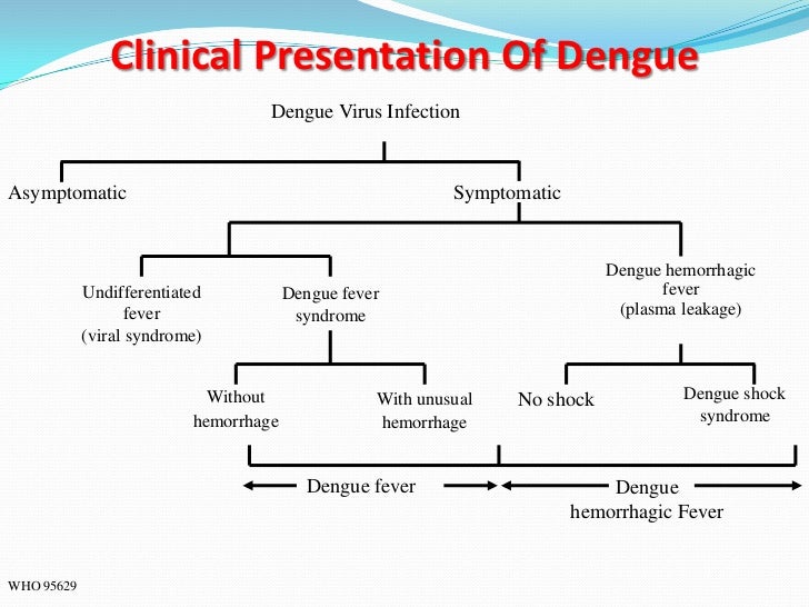 Dengue Fever and Dengue Haemorrhagic Fever