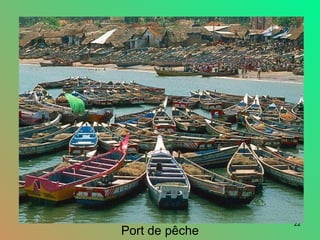 22
Port de pêche
 