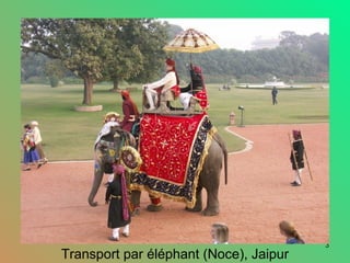 3
Transport par éléphant (Noce), Jaipur
 