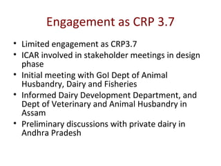 Update on smallholder dairy value chain development in India