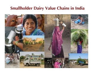 Update on smallholder dairy value chain development in India