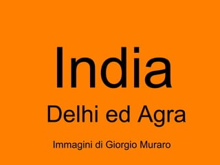 India
Delhi ed Agra
Immagini di Giorgio Muraro
 