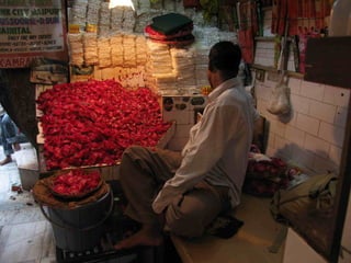 Delhi santuario musulmano
 