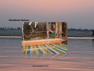 Handloom factory-




                    www.ayugreen.com
 