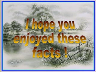 I hope you enjoyed these facts ! 