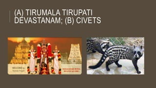 (A) TIRUMALA TIRUPATI
DEVASTANAM; (B) CIVETS
 