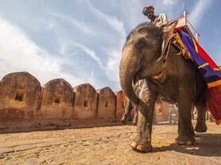 Beautiful India: Inspiring Photography!