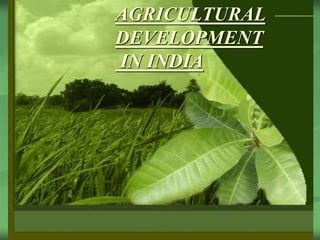 AGRICULTURAL 
DEVELOPMENT 
IN INDIA 
 