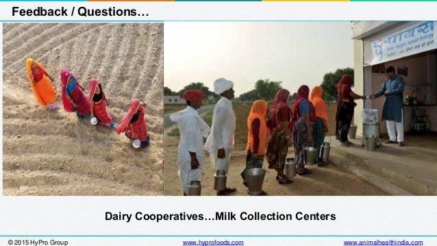 animal feed industry in india essay animal feed industry in india essay