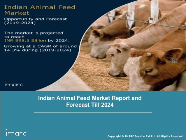 Indian Animal Feed Market Report, Industry Trends, Growth, Share, Siz…