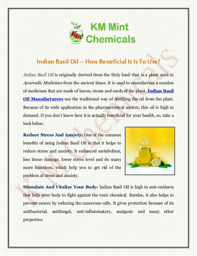 Indian Basil Oil How Beneficial It Is To Use?