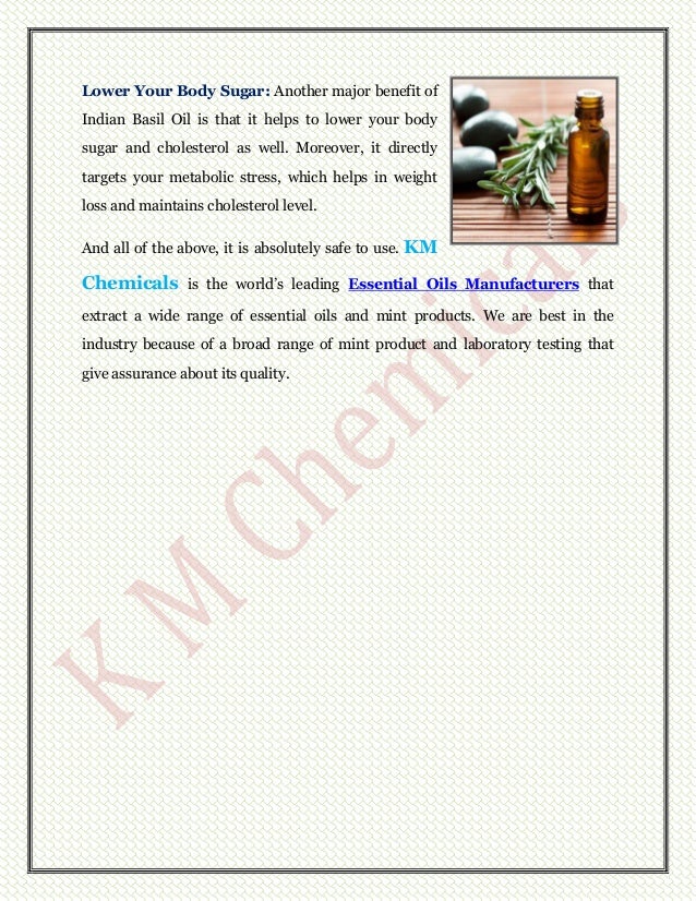 Indian Basil Oil How Beneficial It Is To Use?