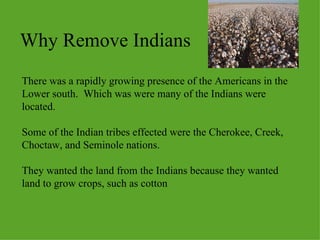 Why Remove Indians There was a rapidly growing presence of the Americans in the Lower south.  Which was were many of the Indians were located. Some of the Indian tribes effected were the Cherokee, Creek, Choctaw, and Seminole nations.  They wanted the land from the Indians because they wanted land to grow crops, such as cotton 