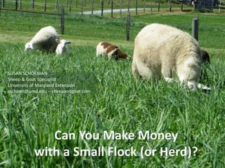 Can You Make Money
with a Small Flock (or Herd)?
SUSAN SCHOENIAN
Sheep & Goat Specialist
University of Maryland Extension
sschoen@umd.edu – sheepandgoat.com
 
