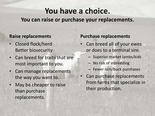 Raising your own replacements | PPTX