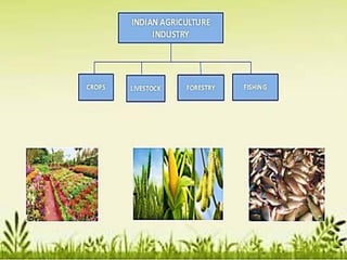 Indian Agricultural Concerns and Future Prospects of Agriculture in ...