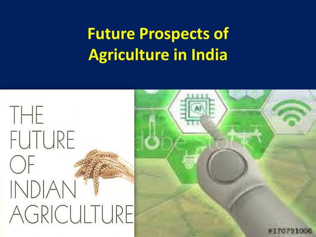 Indian Agricultural Concerns and Future Prospects of Agriculture in ...