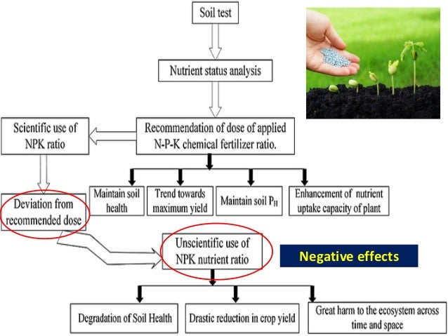 Indian Agricultural Concerns and Future Prospects of ...