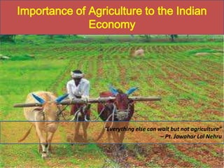 Importance of Agriculture to the Indian
Economy

“Everything else can wait but not agriculture”
– Pt. Jawahar Lal Nehru

 