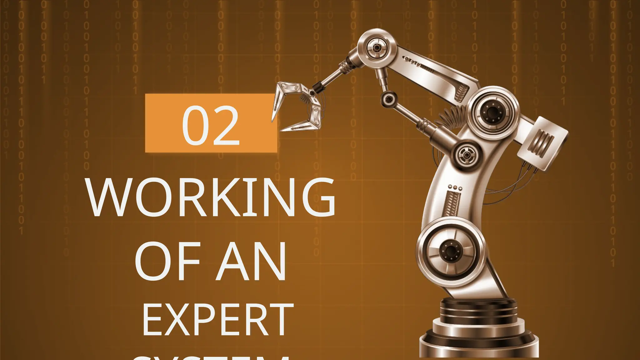 02
WORKING
OF AN
EXPERT
 