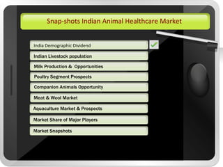 Indian Animal Healthcare Industry Outlook