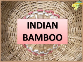 INDIAN
BAMBOO
 