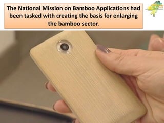 The National Mission on Bamboo Applications had
been tasked with creating the basis for enlarging
the bamboo sector.
 