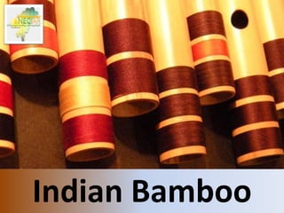 Indian Bamboo
 