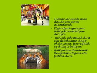 • Indian animali asko
daude eta mota
askotakoak.
• Elefanteak gainean
ibiltzeko erabiltzen
dituzte.
• Behiak sakratuak dira
eta debekatuta dago
okela jatea. Horregatik
ez dituzte hiltzen.
• Galtzorian daudenak
Bengalako tigrea eta
putrea dira.
 
