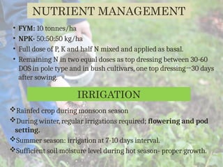 Production technology of Lab lab Bean .pptx