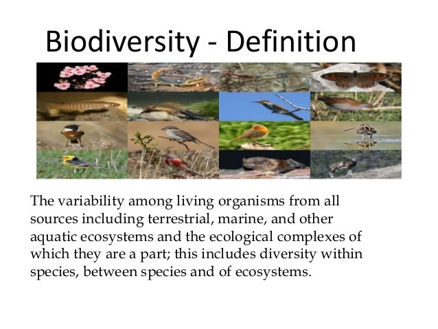 diverse in meaning hindi biodiversity Indian