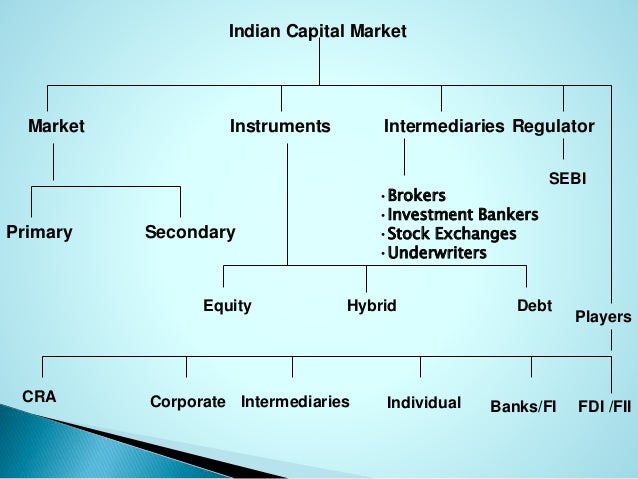 What are capital market instruments?