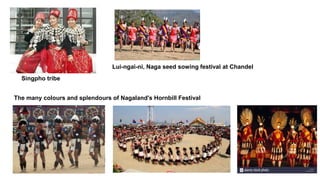 Singpho tribe
Lui-ngai-ni, Naga seed sowing festival at Chandel
The many colours and splendours of Nagaland's Hornbill Festival
 