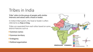 Tribes in India
Tribe’ refers to the group of people with similar
interests and values with a head or leader.
In Indian tr...