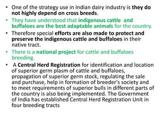 • The seven Central cattle breeding farms at Suratgarh
  (Rajasthan), Chiplima and Semiliguda (Orissa), Dhamrod
  (Gujarat...