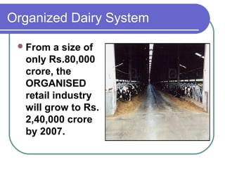 Organized Dairy System

  From  a size of
  only Rs.80,000
  crore, the
  ORGANISED
  retail industry
  will grow to Rs.
  2,40,000 crore
  by 2007.
 