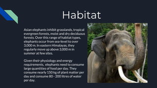 Habitat
Asian elephants inhibit grasslands, tropical
evergreen forests, moist and dry deciduous
forests. Over this range of habitat types,
elephants occur from sea-level to over
3,000 m. In eastern Himalayas, they
regularly move up above 3,000 m in
summer at few sites.
Given their physiology and energy
requirements, elephants need to consume
large quantities of food per day. They
consume nearly 150 kg of plant matter per
day and consume 80 - 200 litres of water
per day.
 