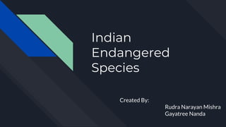 Indian
Endangered
Species
Created By:
Rudra Narayan Mishra
Gayatree Nanda
 