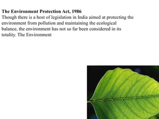 The Environment Protection Act, 1986
Though there is a host of legislation in India aimed at protecting the
environment from pollution and maintaining the ecological
balance, the environment has not so far been considered in its
totality. The Environment
 