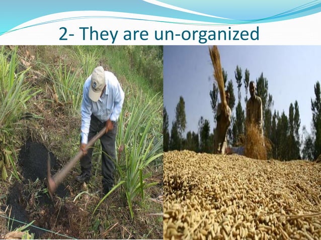 Indian Farmer Presentation PPT