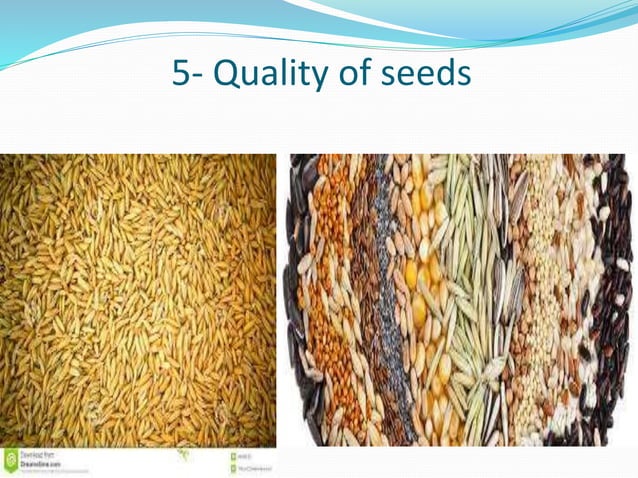 Indian Farmer Presentation PPT