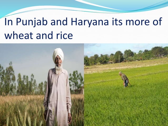 Indian Farmer Presentation PPT
