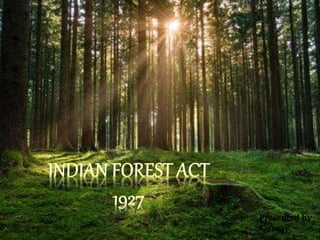 Picture of Indian Forest Act, 1927