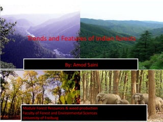 Trends and Features of Indian forests

By: Amod Saini

Module Forest Resources & wood production
Faculty of Forest and Environmental Sciences
University of Freiburg

 
