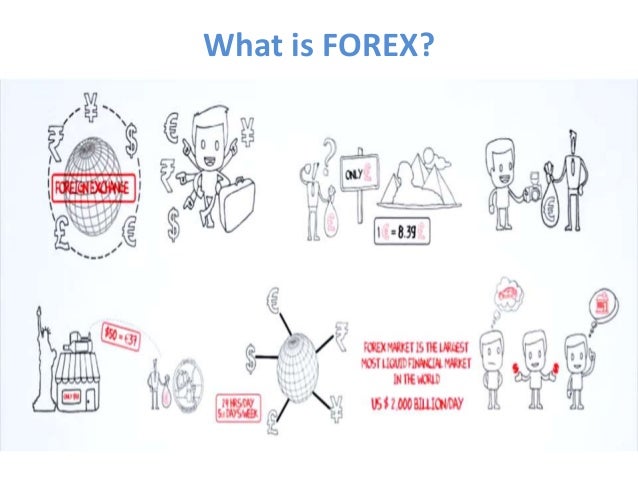 Forex indiatimes