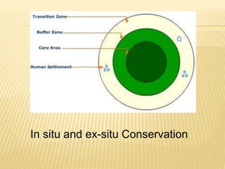 In situ and ex-situ Conservation
 