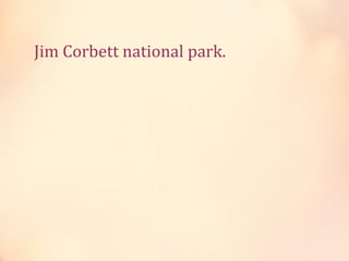 Jim Corbett national park.

 