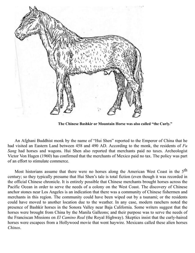 Indian Horses Before Columbus Evidences in America
